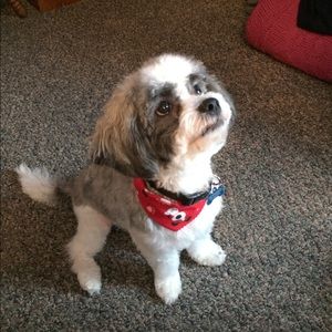 Meet your Posher, Richard